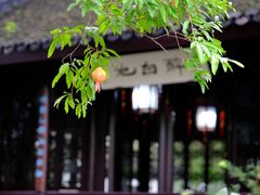 -上海醉白池公园