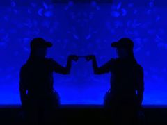 -多彩贵州城极地海洋世界