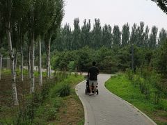 -东郊湿地公园