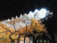 -上海醉白池公园