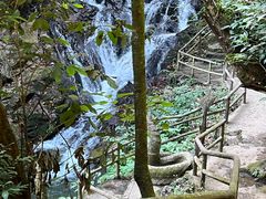 -莫里热带雨林景区