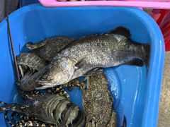 -班赞海鲜市场