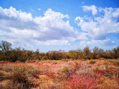 -黄沙古渡原生态旅游区