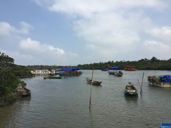 景点-东寨港红树林旅游区