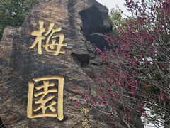 -无锡梅园公园