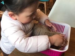 -藦茜花园宠物主题亲子互动体验馆(国顺东路店)