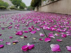 -荣昌花园
