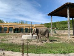 -哈尔滨北方森林动物园