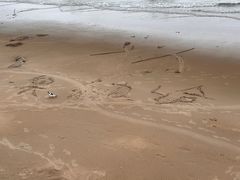 -北戴河东海水浴场