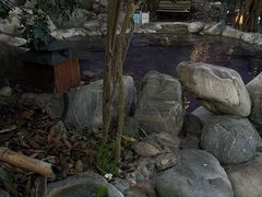 -湖泉半山温泉