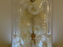 -肃宁华斯国际裘皮城