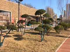 -南翠屏公园