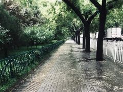-茶花妹子云南餐厅(北大店)