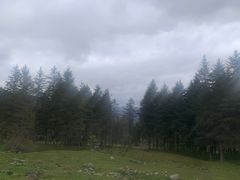 -硗碛藏寨·神木垒景区