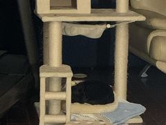 -联合动物医院(光谷诊疗中心)