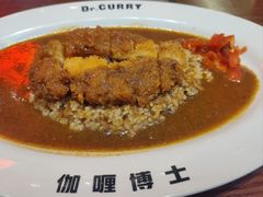 -伽喱博士 Dr.CURRY咖喱饭(太阳宫咖喱店)