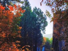 -香山公园