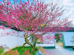 -杭州植物园