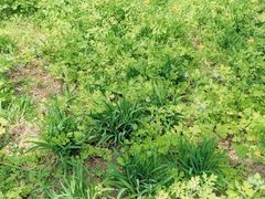 -黑龙江省森林植物园