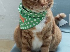 -荔康动物医院(康王北路店)