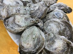-蚝专家(北滘店)