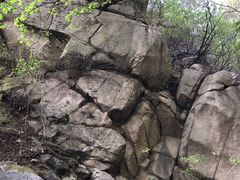 -北京鹫峰国家森林公园