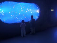-合肥海洋世界