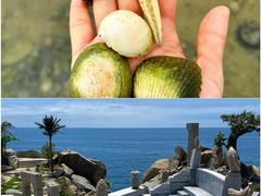 -海南分界洲岛旅游区