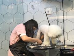 -萌兽医馆·眼科·异宠专科(三里屯店)
