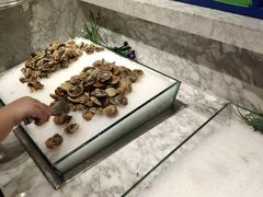 -火锅岛潮牌自助餐厅(天津天佑城店)