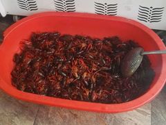 -阿明烧烤·烤鱼·小龙虾(水清路店)