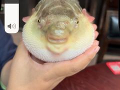 -永安鱼庄·镇江菜(东吴路店)