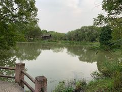 -西溪国家湿地公园