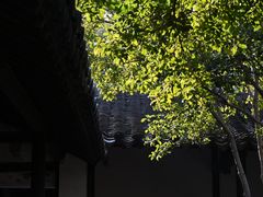 -黎里古镇