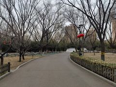 -莲花池公园