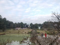 -铁山坪森林公园