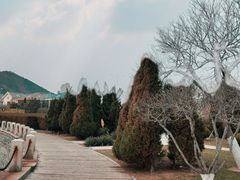-黑石礁公园