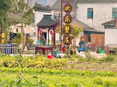 -欢乐蟹庄·精品农家乐(阳澄湖莲花岛店)