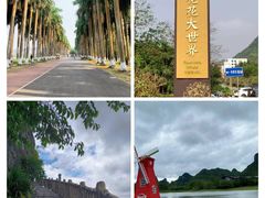 -南宁花花大世界景区