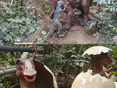 -呀路古热带植物园