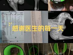 -福懋动物医院·犬猫全科·外科·重症科(杏林分院)