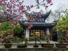 -木子山庄·安徽省老字号·中国炖锅宴
