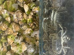 -蟹谢蒸鲜自助餐厅