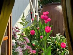 -上海鲜花港