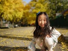 -三里屯东五街银杏大道
