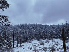 -瓦屋山景区