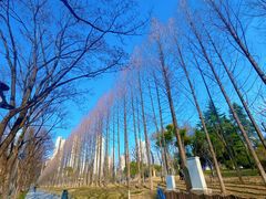 -后襄河公园