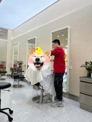 -逸丝风尚