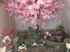 -猫窝棋牌(尚大国际店)