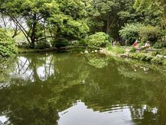 -成都市活水公园